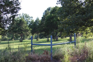 Golden,Mo 005