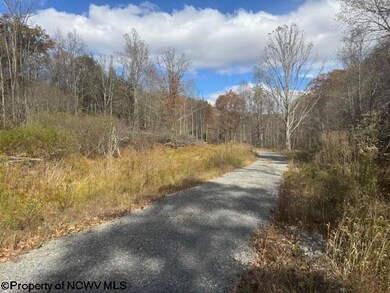 TBD Adolph Road (Rr), Mill Creek, WV 26280 - photo 6