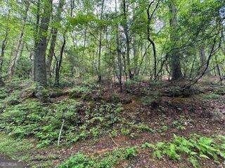 0 Ts Jarrard Rd Unit Tract 3 #192 unit 10655414, Dahlonega, GA 30533 - photo 3