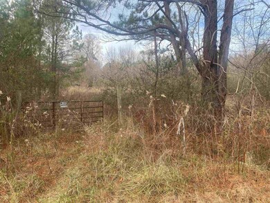 0 Us 15 501 Hwy unit 2488121, Pittsboro, NC 27312 - photo 2