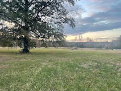 690 Ashley Road 71, Hamburg, AR 71646 - photo 3