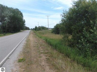 8215 Curtis Rd, Hale, MI 48739 - photo 5