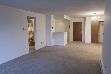 382 Massachusetts Ave unit 204, Arlington, MA 02474 - photo 3