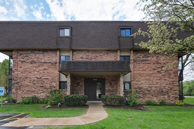 9199 North Rd unit E, Palos Hills, IL 60465 - photo 3