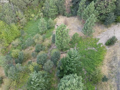 0 141 Hwy, Whitesalmon, WA 98672 - photo 6