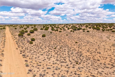 0 Red Sky Ranch Lot 384 unit 257799, St. Johns, AZ 85936 - photo 5