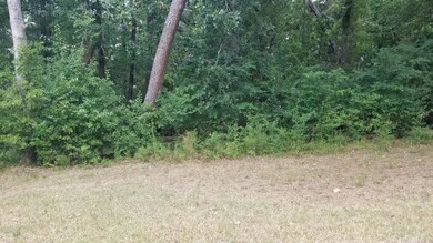 0 Cox Rd, Evans, GA 30809 - photo 3