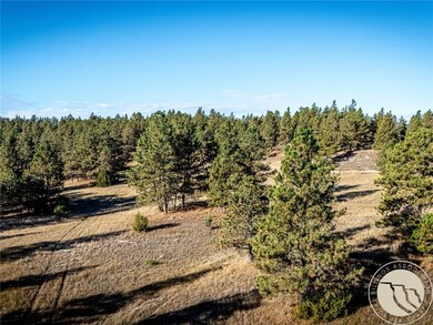 86 Remington Trail, Roundup, MT 59072 - photo 6