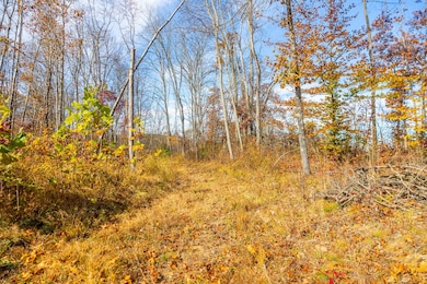 7605 Hambel Rd, Malta, OH 43758 - photo 6