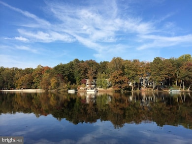 6312 Waterway Dr, Falls Church, VA 22044 - photo 4