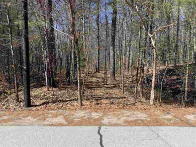45 Laurel Hill Rd unit Lot 45-18 in Hollis, Hollis, NH 03049 - photo 6