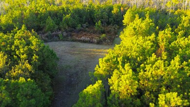 0 Porter Rd, Lake Park, GA 31636 - photo 6