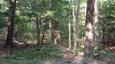 89 Snow Rd unit Lots 7 & 8, Dover, VT 05341 - photo 2