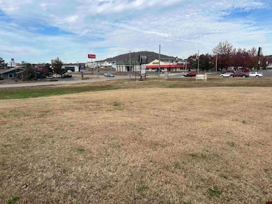 007-13980-000 E Hwy 62 E, Mountain Home, AR 71653 - photo 3