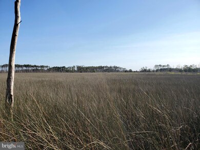 1914 E Tedious Creek Rd, Toddville, MD 21672 - photo 4