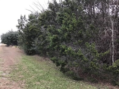 33034 Woodcrest Dr, Whitney, TX 76692 - photo 2