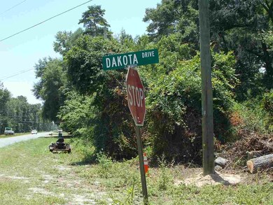 0 Dakota Dr unit 3 259994, Crawfordville, FL 32327 - photo 4