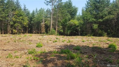 114 Iris Ln, Winlock, WA 98596 - photo 6