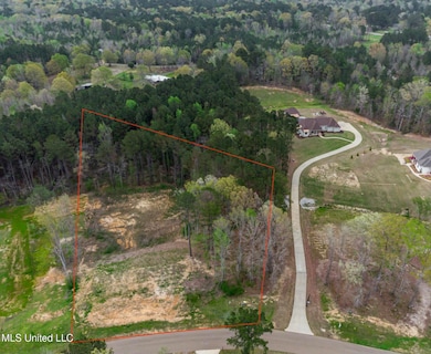 0 Dogwood Trace unit 4108863, Brandon, MS 39042 - photo 5