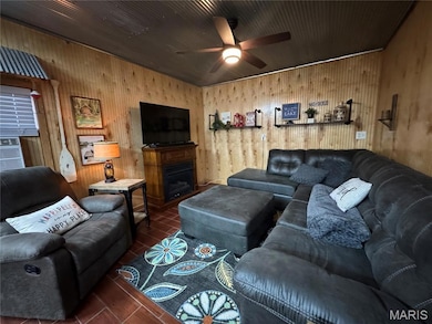 252 Lake Forest Rd, Wappapello, MO 63966 - photo 4