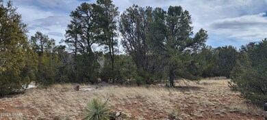 0 Power Line Rd unit 244852, Overgaard, AZ 85933 - photo 7