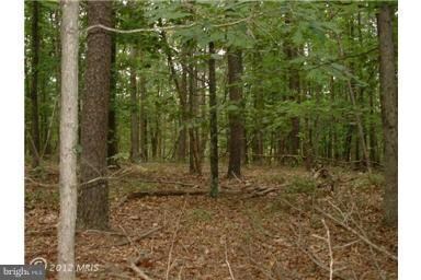 15 Pack Horse Rd, Cross Junction, VA 22625 - photo 6