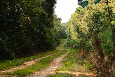 15816 Roberts Rd, Opp, AL 36467 - photo 5