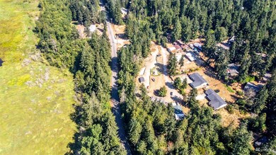 18230 Bald Hill Rd SE, Yelm, WA 98597 - photo 6