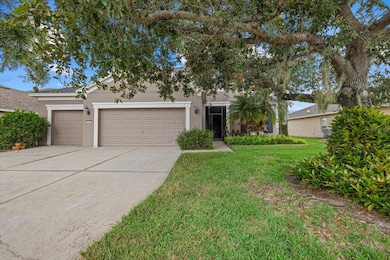 9927 58th St E, Parrish, FL 34219 - photo 6