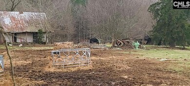 TBD Willie Usher Rd, Lancaster, SC 29720 - photo 5