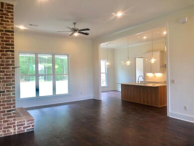 139 Downing St, Oxford, MS 38655 - photo 3