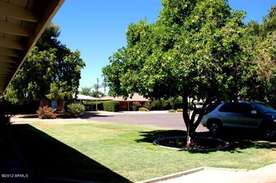 Front Yard 1