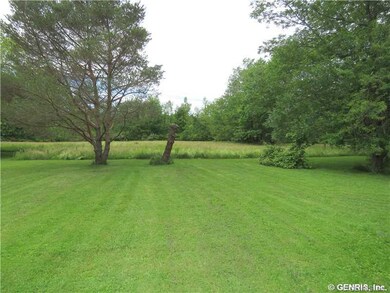 Backyard. PRIVATE BACKYARD