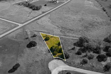 33010 Woodcrest Dr, Whitney, TX 76692 - photo 4