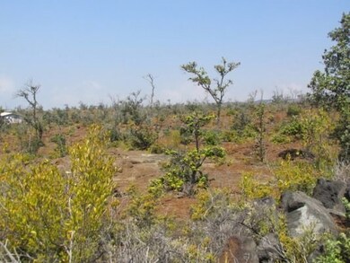 Pahoehoe and scrub trees