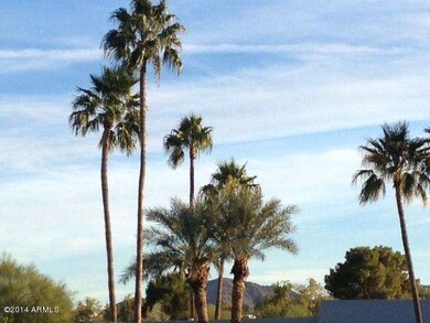 view from backyard