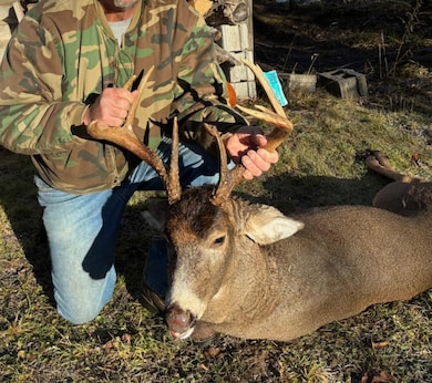 Eben-Trenary Road Lot unit WP001, Trenary, MI 49891 - photo 3