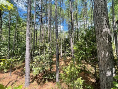 00 Carver Point Rd, Coffeeville, MS 38922 - photo 3