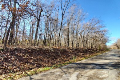 Land for Sale in Thayer, MO4