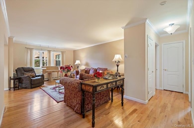 Town'n Harbor unit 8B, Freeport, NY 11520 - photo 3