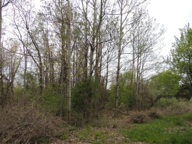 0 68th St, South Haven, MI 49090 - photo 5