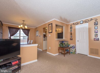 1036 Franklin Ave, Croydon, PA 19021 - photo 5