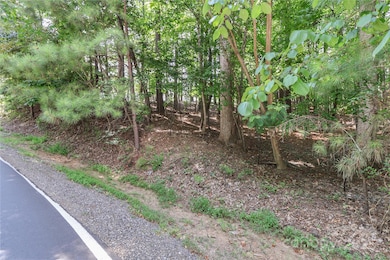 372 Kenway Loop, Mooresville, NC 28117 - photo 7