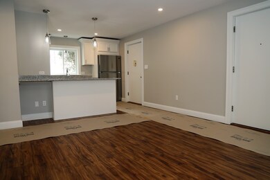 41 Lionel Ave unit A, Waltham, MA 02452 - photo 5