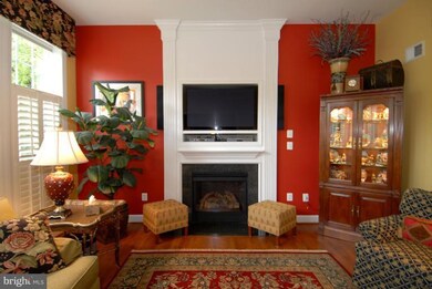 6410 South St, Falls Church, VA 22042 - photo 6