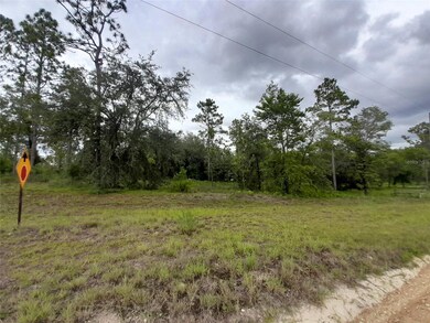 TBD SE 71st Place, Morriston, FL 32668 - photo 7