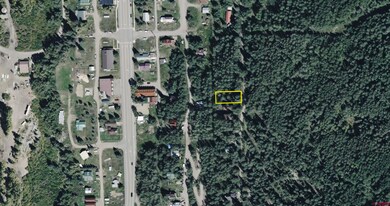 Lots 13 & 14 S Silver St, Rico, CO 81332 - photo 4