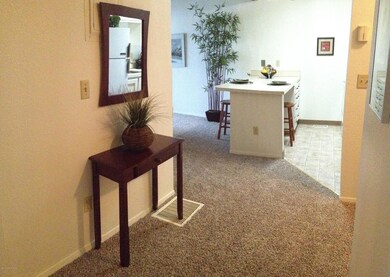 Entry hallway & breakfast bar