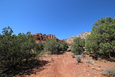 IMG_1763