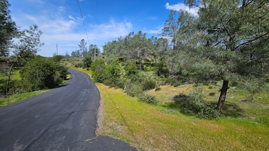 1641 Hidden Bridge Rd, El Dorado Hills, CA 95762 - photo 7